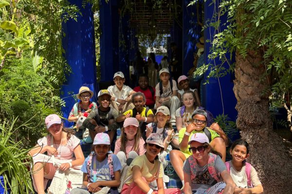 Photo 5 - Majorelle